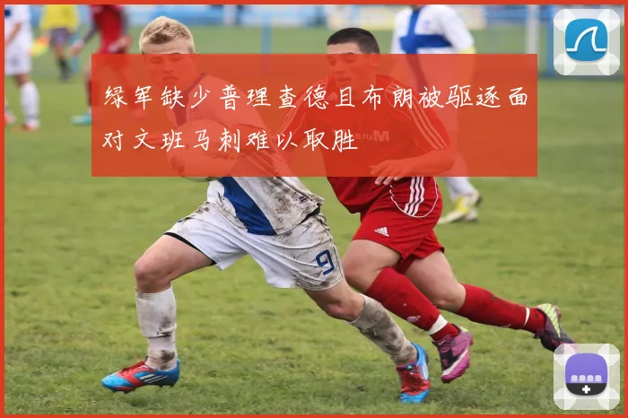 绿军缺少普理查德且布朗被驱逐面对文班马刺难以取胜